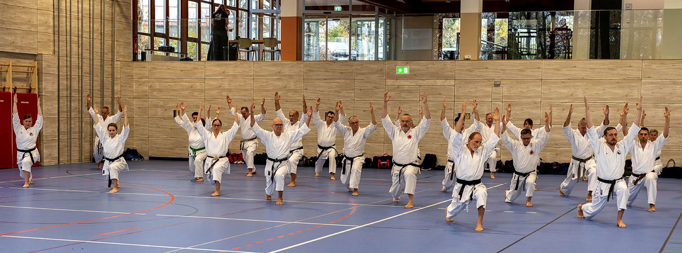 Eine Reihe Karateka im Vorwärtsstand, beide Arme über dem Kopf gekreuzt.